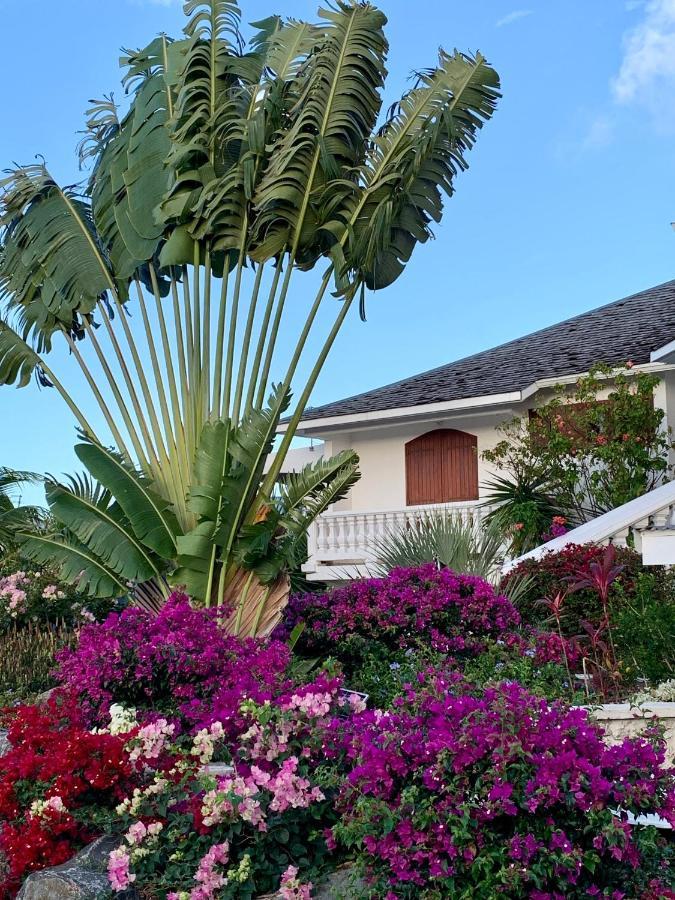 Residence De Tourisme Domaine Saint-Francois Buitenkant foto