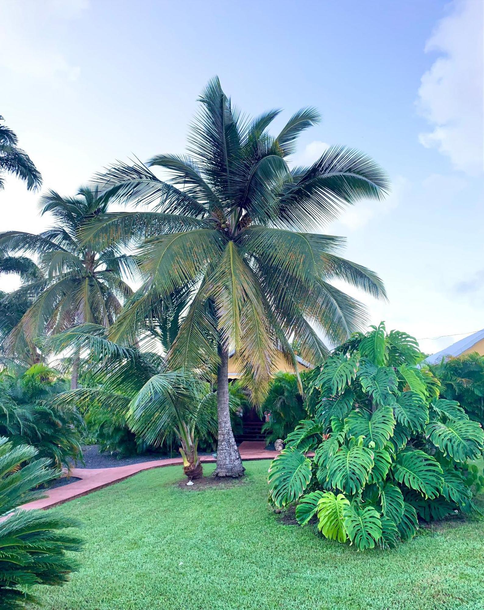 Domaine Saint-Francois Hotel Buitenkant foto