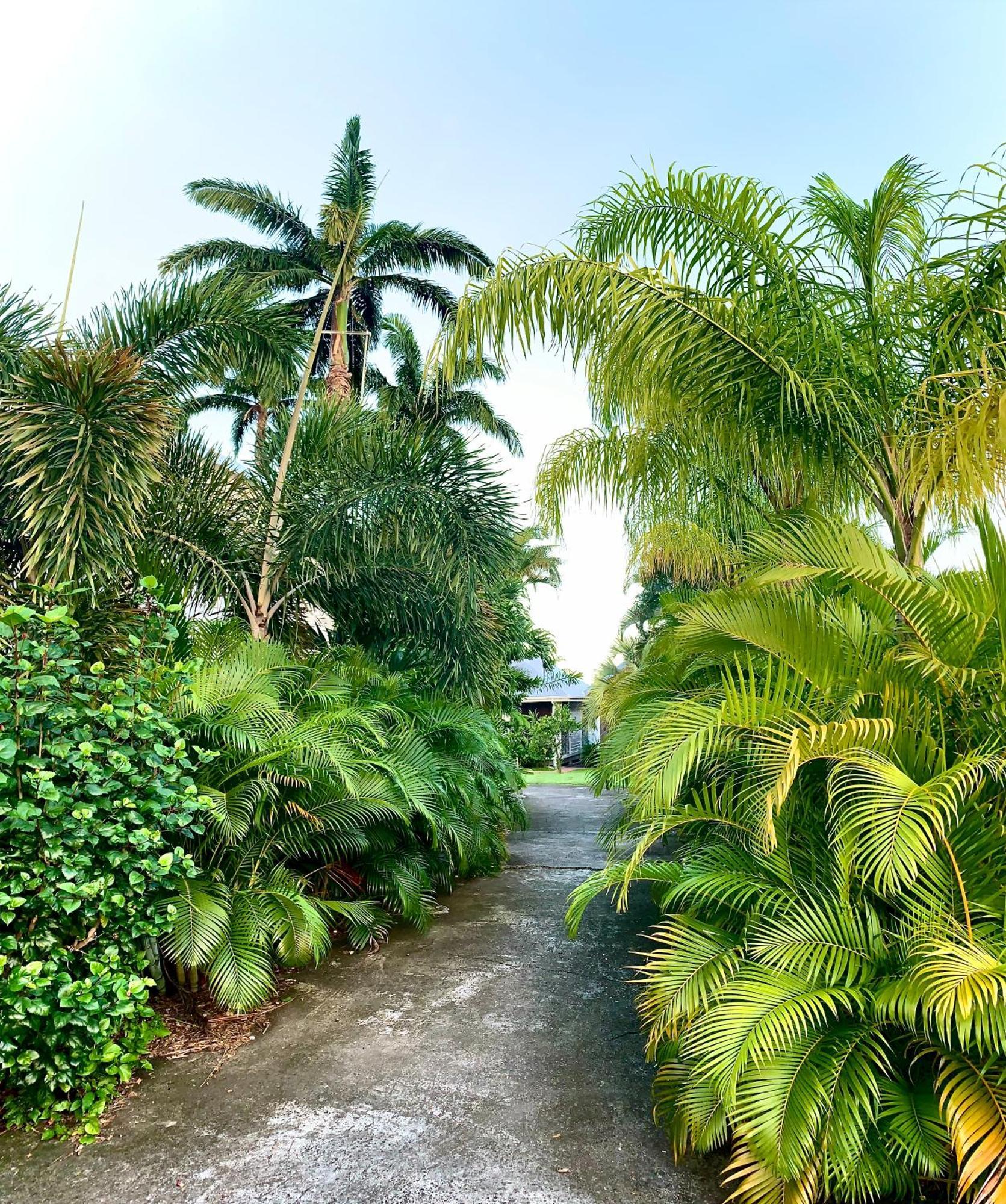Domaine Saint-Francois Hotel Buitenkant foto